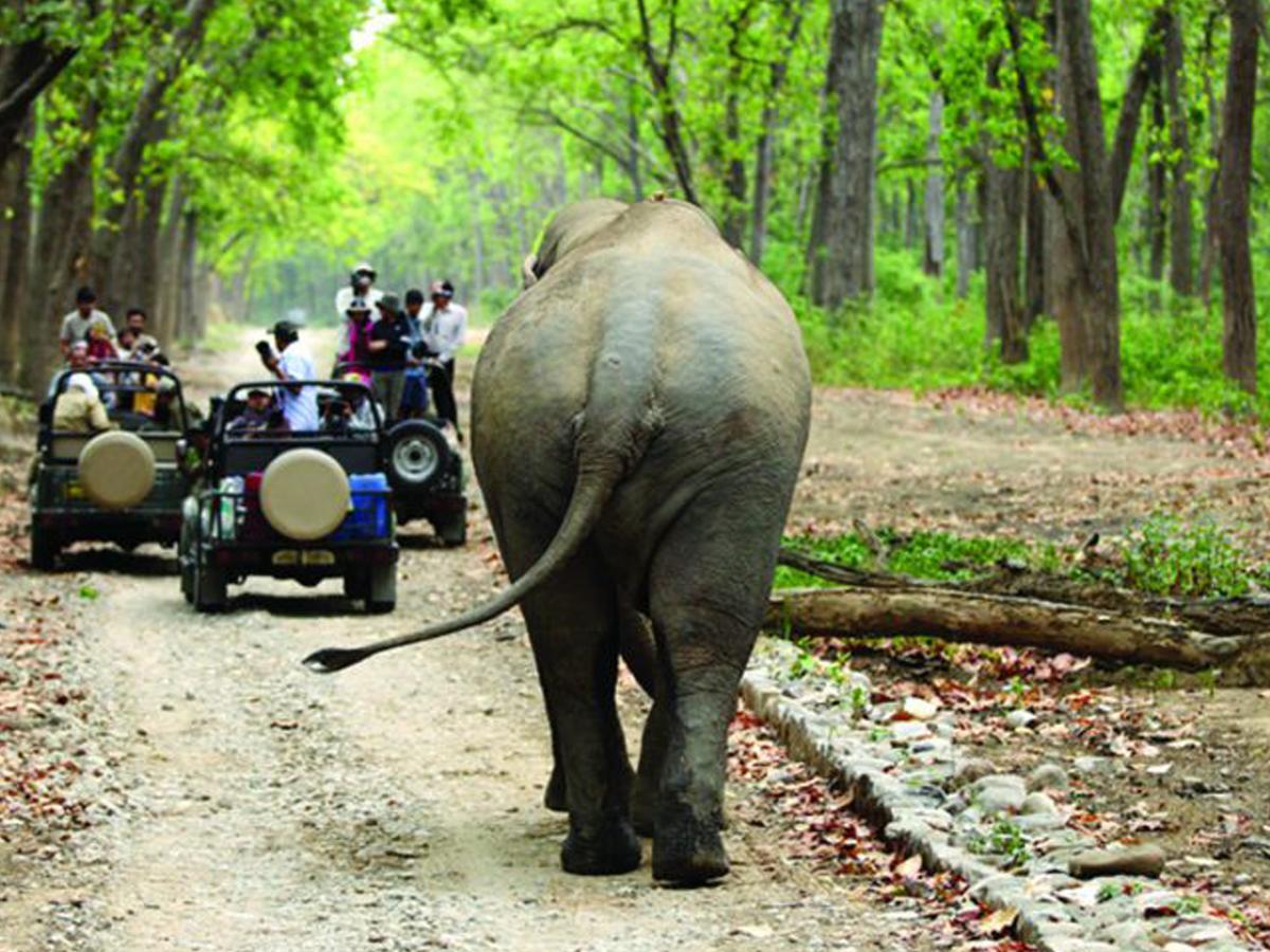 Corbett Treat Resort Rāmnagar Extérieur photo